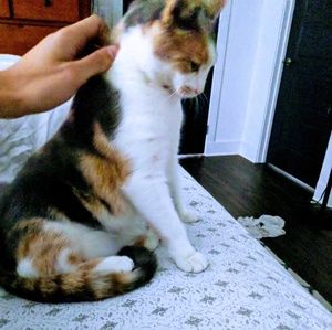 Meet your Posher, Grant